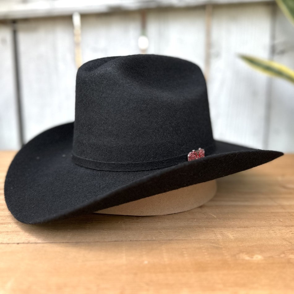 Chaparral Black Felt Kids Cowboy Hat