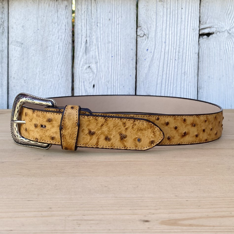 BD-701 Butter - Men's Cowboy Belt - Exotic Belts