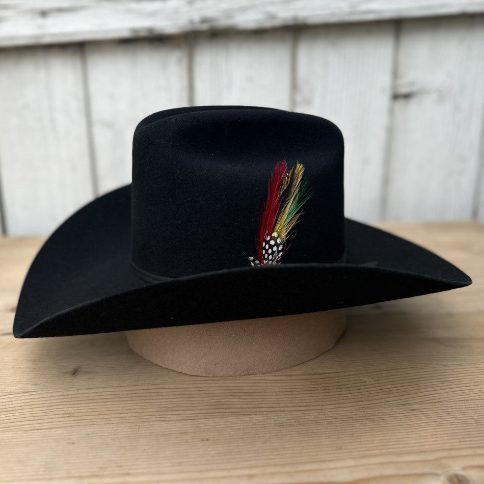 6X Rancher Black with Feather Stetson Felt Cowboy Hat